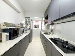 Blk 224A Matilda Edge (Punggol), HDB 4 Rooms #565040061